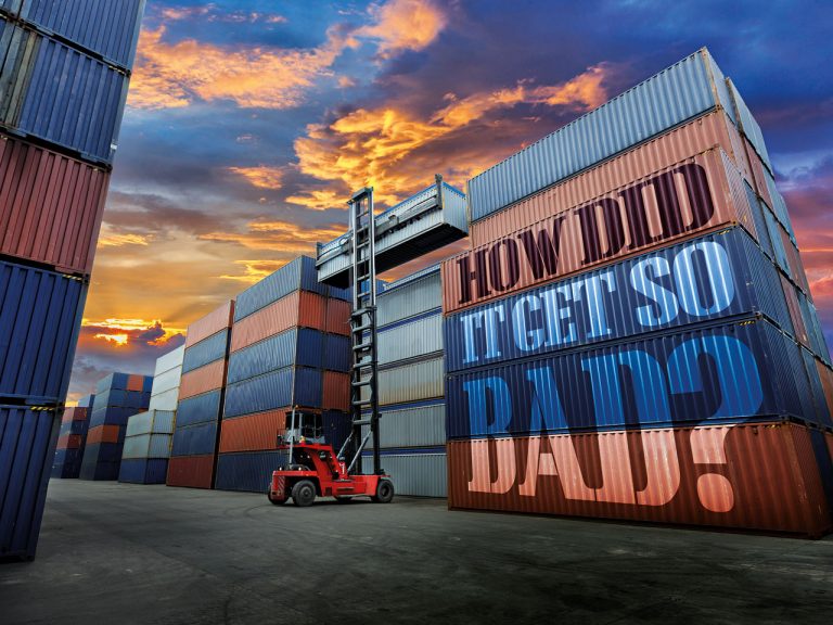 CREATING AN ADAPTABLE SUPPLY CHAIN IN THE SITUATION OF THE CRISIS
